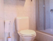 wall, indoor, sink, bathroom, plumbing fixture, toilet, bathtub, shower, tap, bathroom accessory, bidet